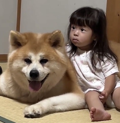 仲良く並ぶ犬と子ども
