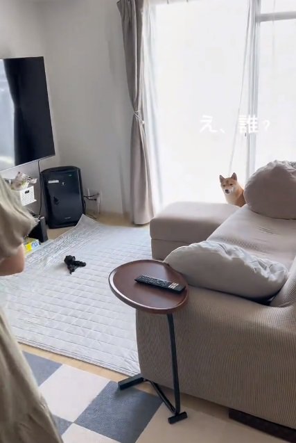 警戒する小次郎くん