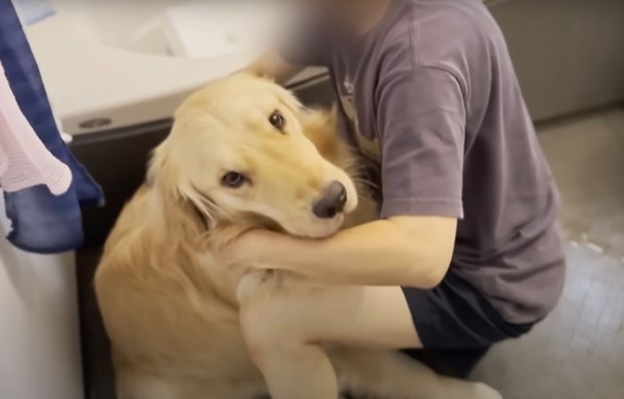 風呂場で向き合う人と犬