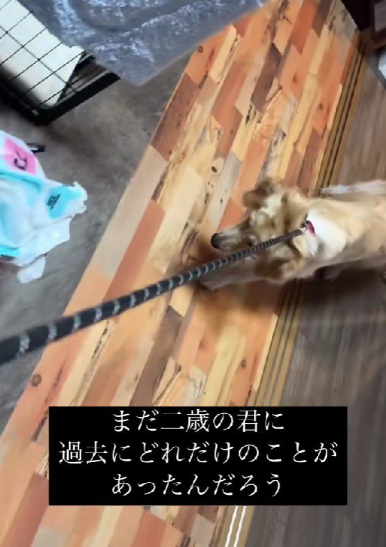 全てが怖くて仕方ない