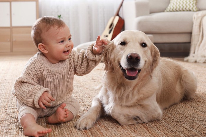 あかちゃんと大型犬