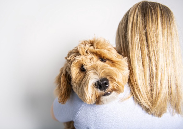 女性に抱っこされている犬