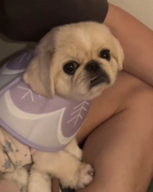 不服そうなお顔も可愛い（笑）