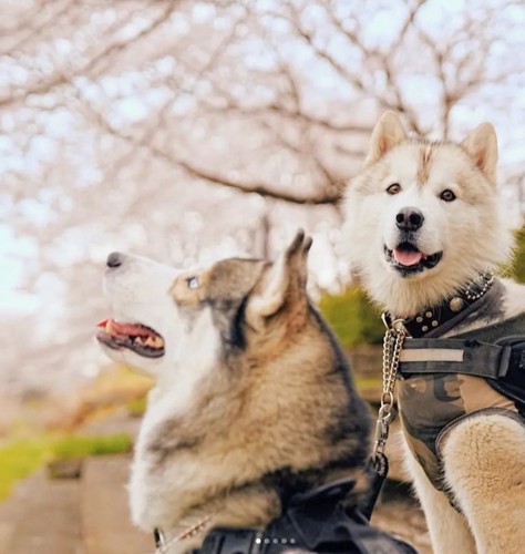 微笑ましい光景に感動