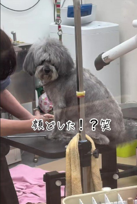 なんか見てる…！