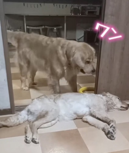 「どいてー!」