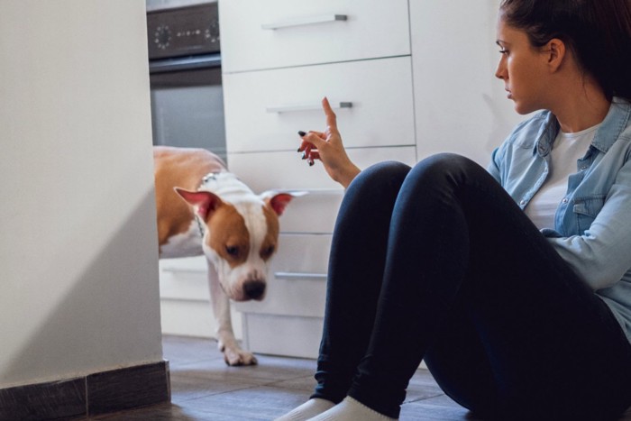 犬を注意する女性