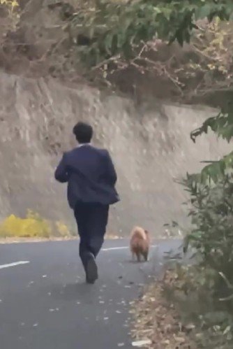 わんこを発見