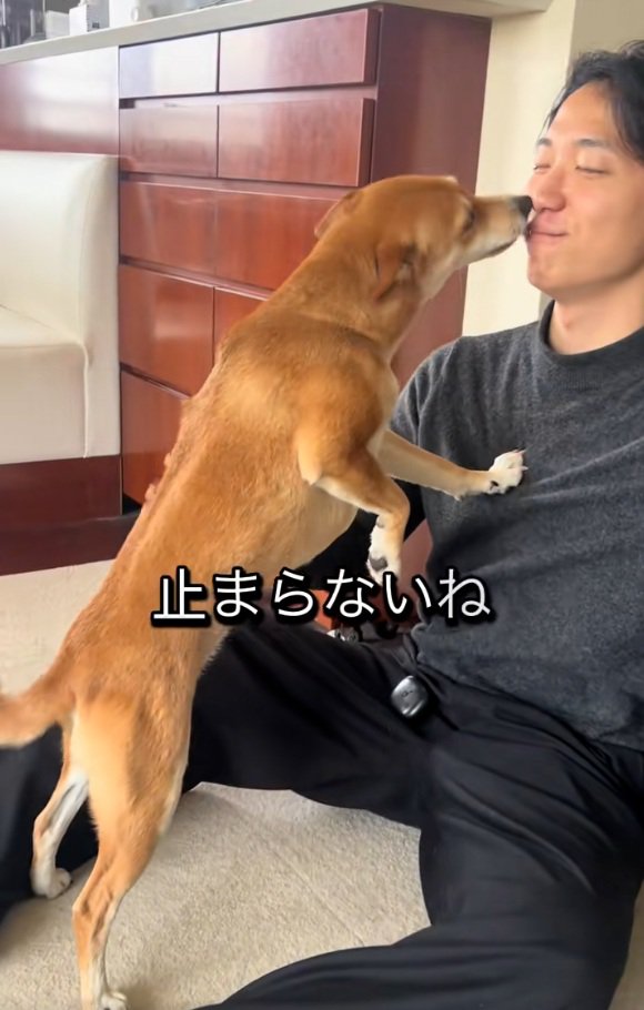 止まらない歓迎