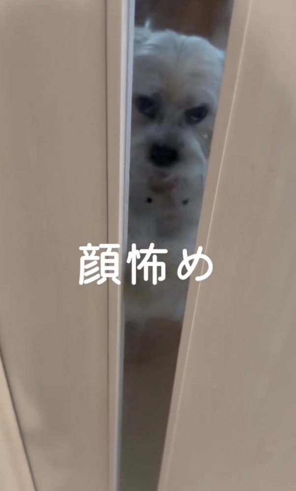 真剣そのもの！