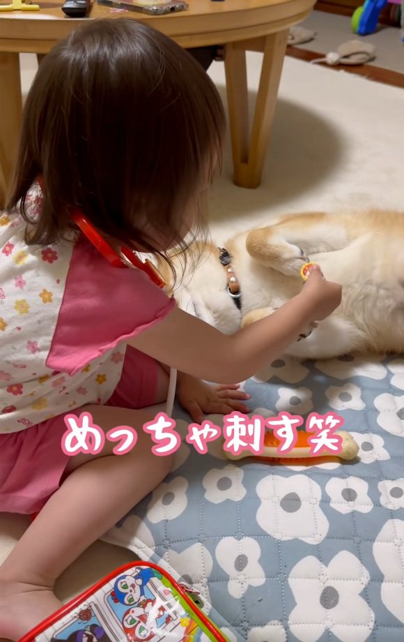 何度も刺す娘さん