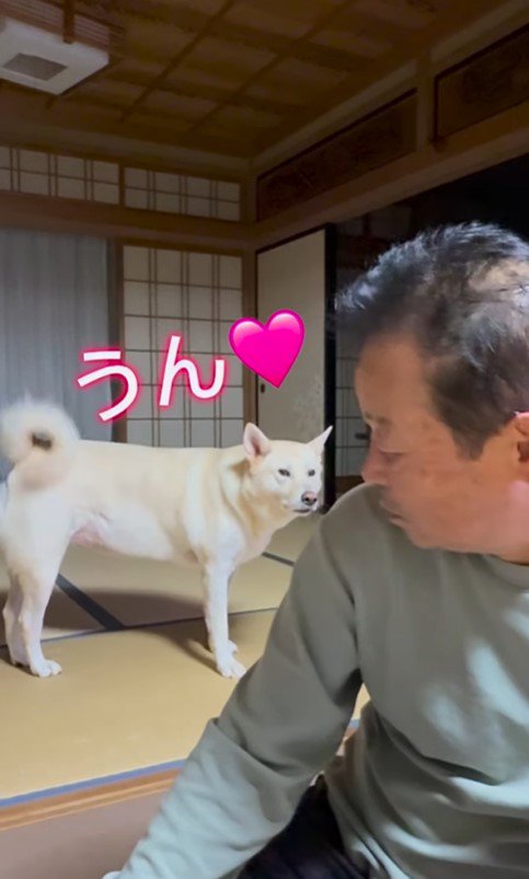 きなこちゃんとおじいちゃんのやり取り6