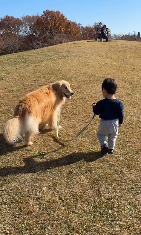 現在のオレオくんと弟くん2