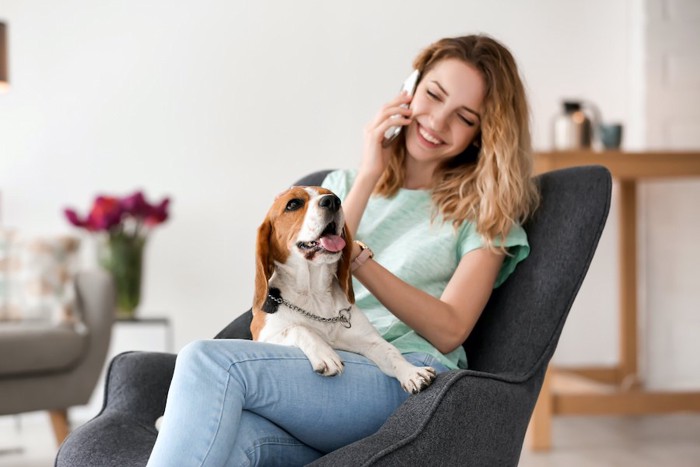 電話をする飼い主の膝に乗る犬