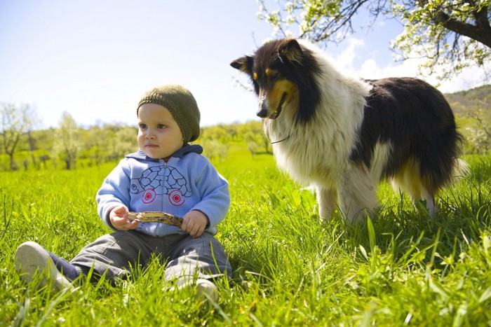 幼い子と見守る犬