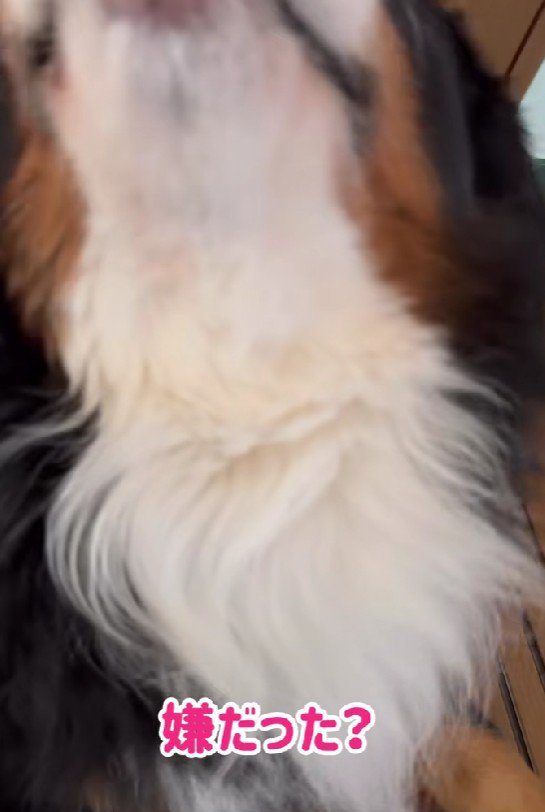 「ちょっと痛いなあ」