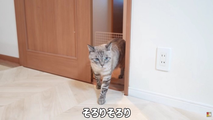 恐る恐るリビングへ