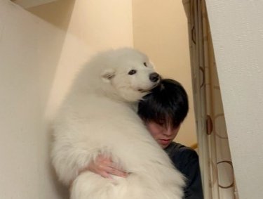 赤ちゃん