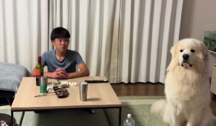 「怒られてるの僕だ」