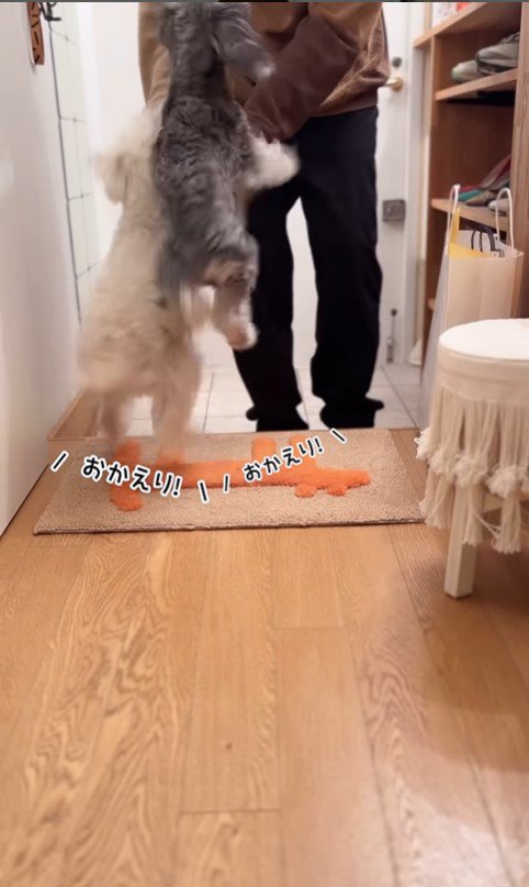 バンデくんとなぎちゃんの本当のおかえり7