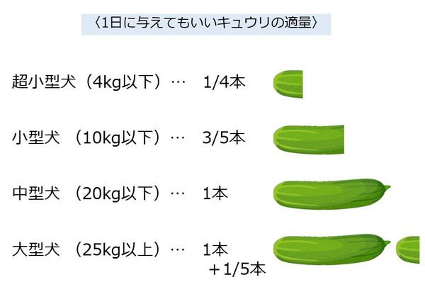 犬が1日に食べてもいいきゅうりの量