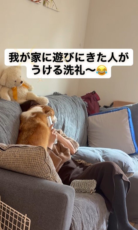 エルモちゃんのおもてなし