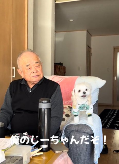 おじいちゃんと犬