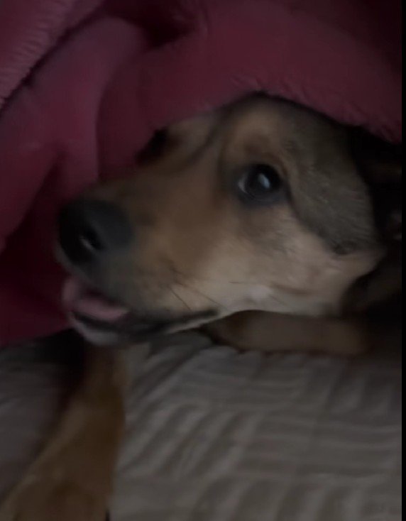 やっと起きてきた