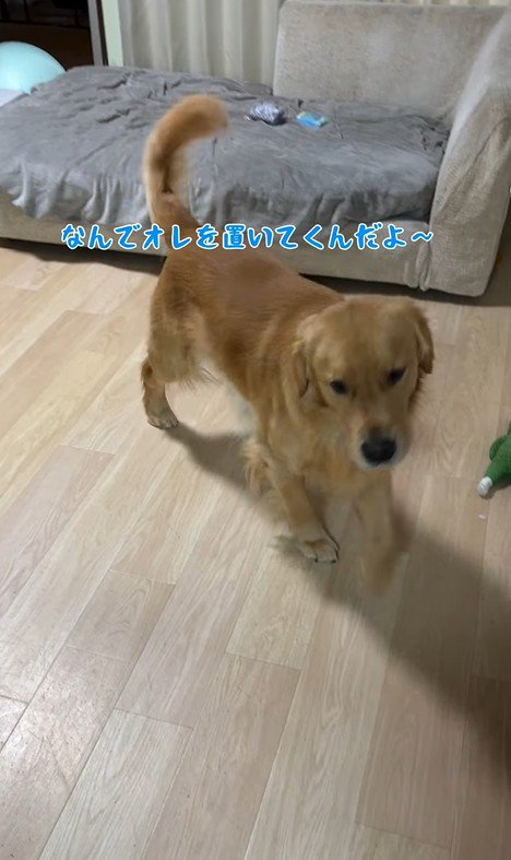 アルトくんと子どもたちの日常8