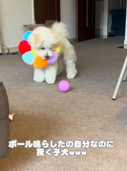 「今のなに!?」