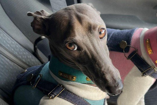 鋭い視線も素敵♪