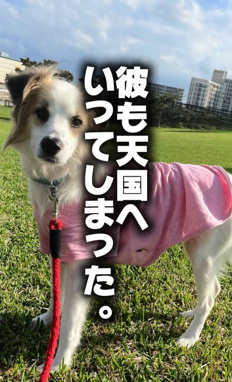 ダニエルくんとの数ヶ月間8