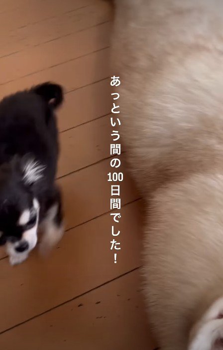 あっという間だった…