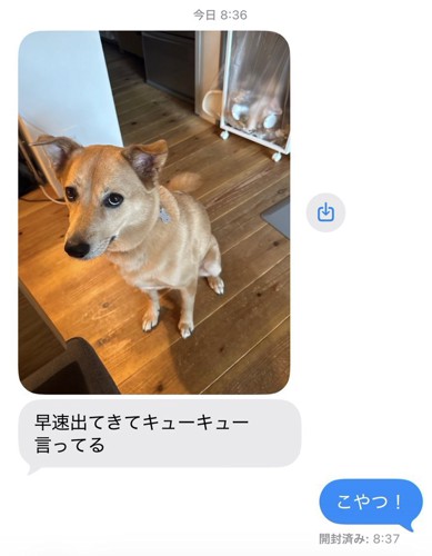 策士