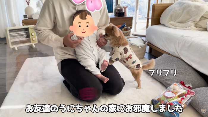 ハナちゃんと赤ちゃんたちの交流