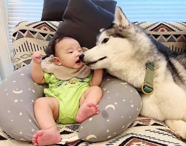 クッションを背もたれにして座る赤ちゃんに寄り添う犬