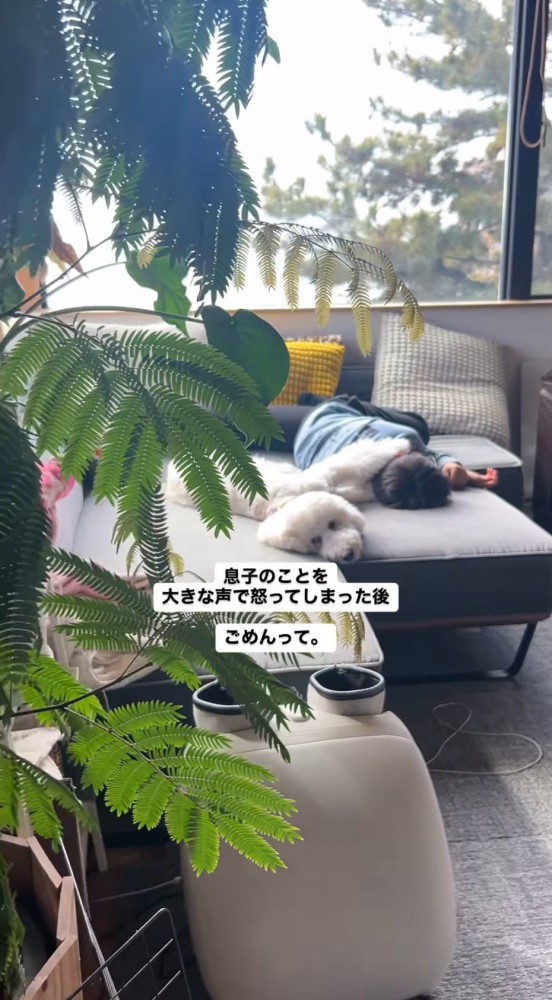 ソファで横になっている男の子に寄り添う犬