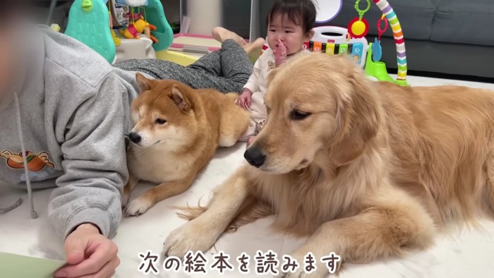 次の絵本が始まります