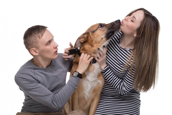 カップルに割り込む犬