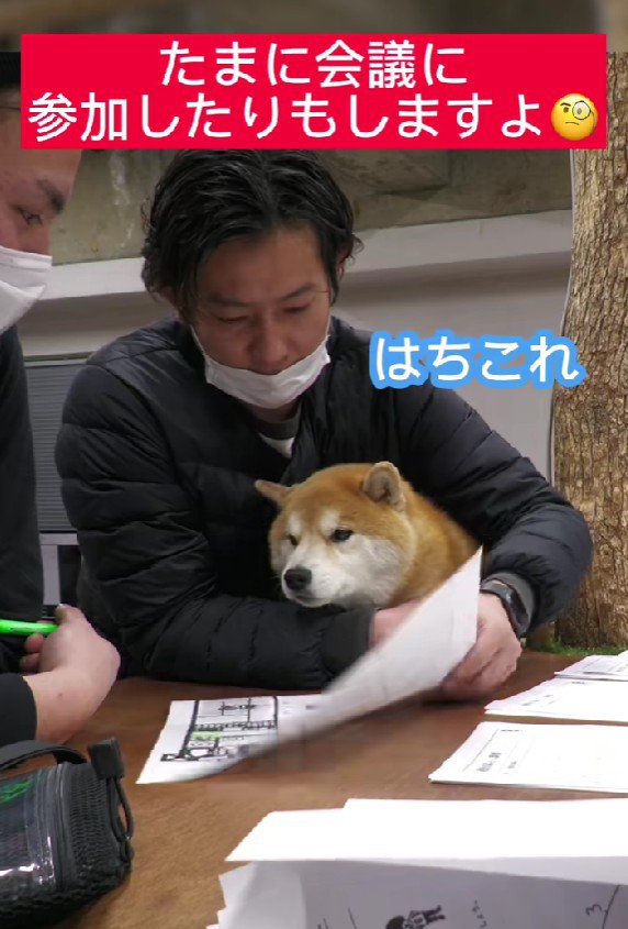 会議にも参加します