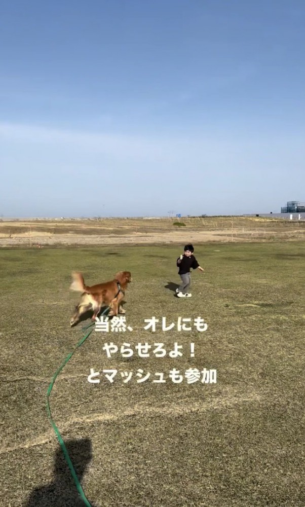 マッシュ君もやりたい