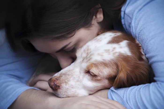 飼い主に抱きしめられている犬