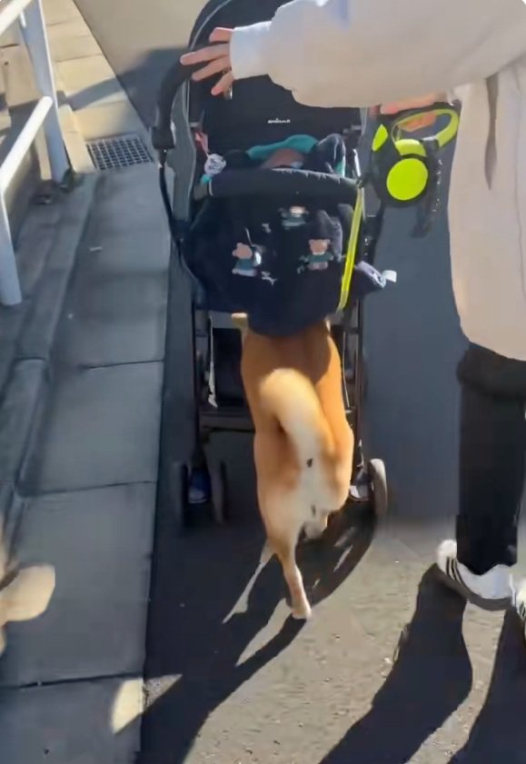 軌道修正をするママ