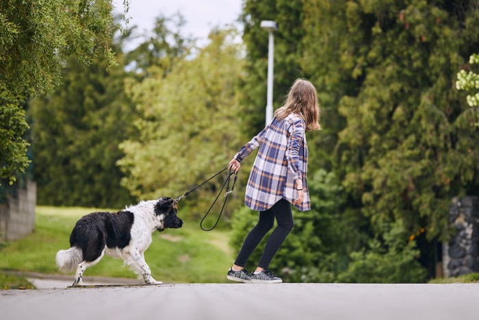 散歩で歩かない犬とリードを引っ張る飼い主