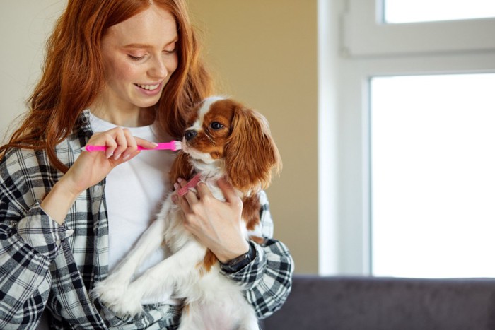 歯ブラシを持った女性と犬