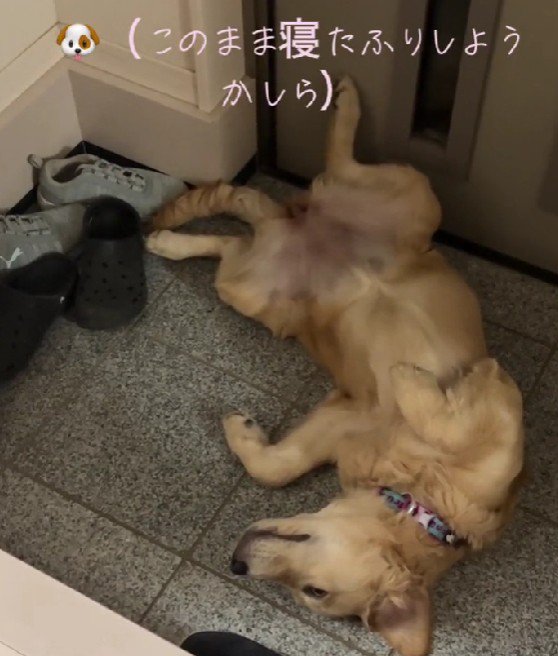 「このまま寝ちゃおう…」