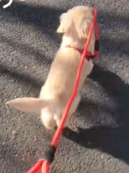「ちゃんとついてきて！」