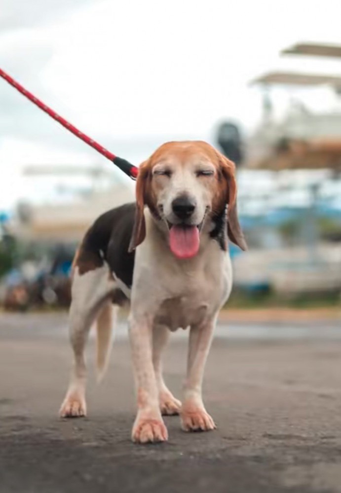 ルビちゃんの笑顔