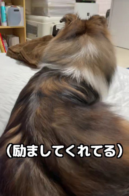 「いつでも味方だよ」