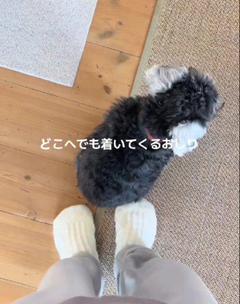 「行かないで」